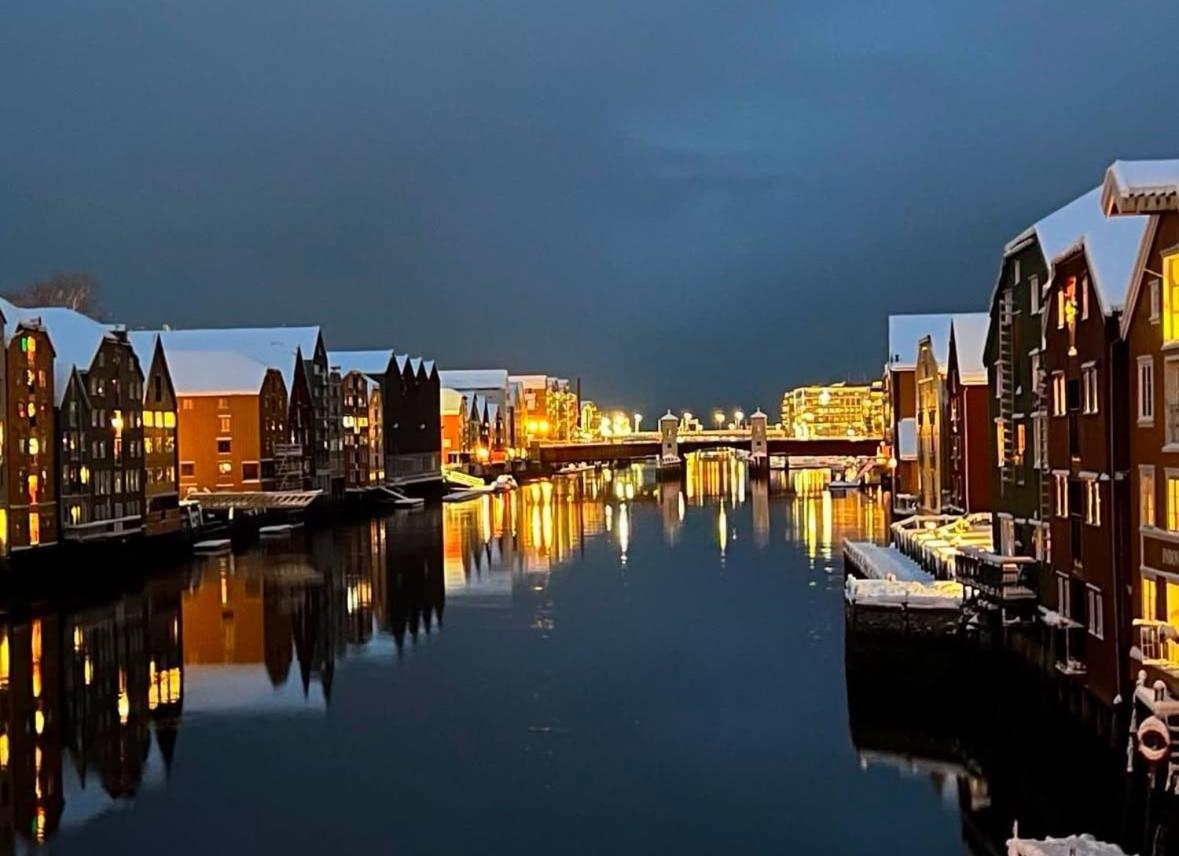 Beautiful House - Walking Distance Of Everything Trondheim Dış mekan fotoğraf