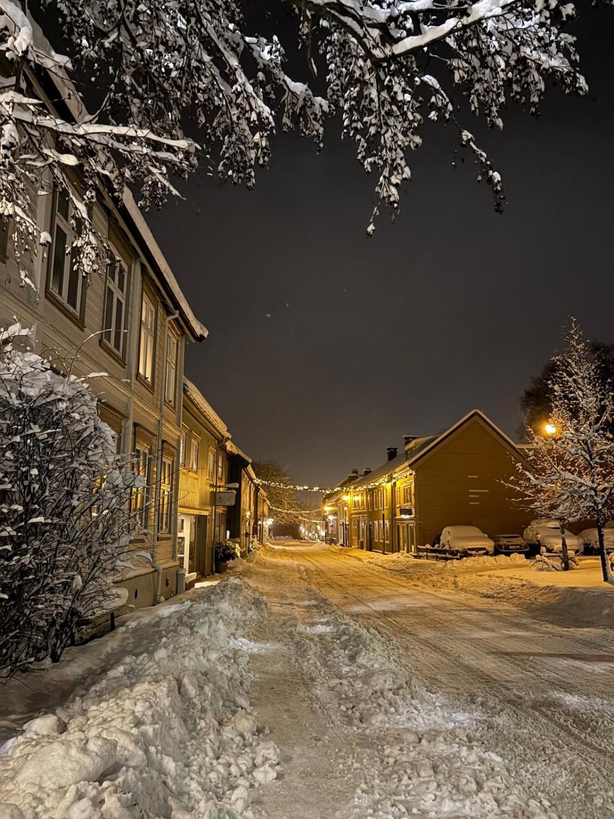 Beautiful House - Walking Distance Of Everything Trondheim Dış mekan fotoğraf
