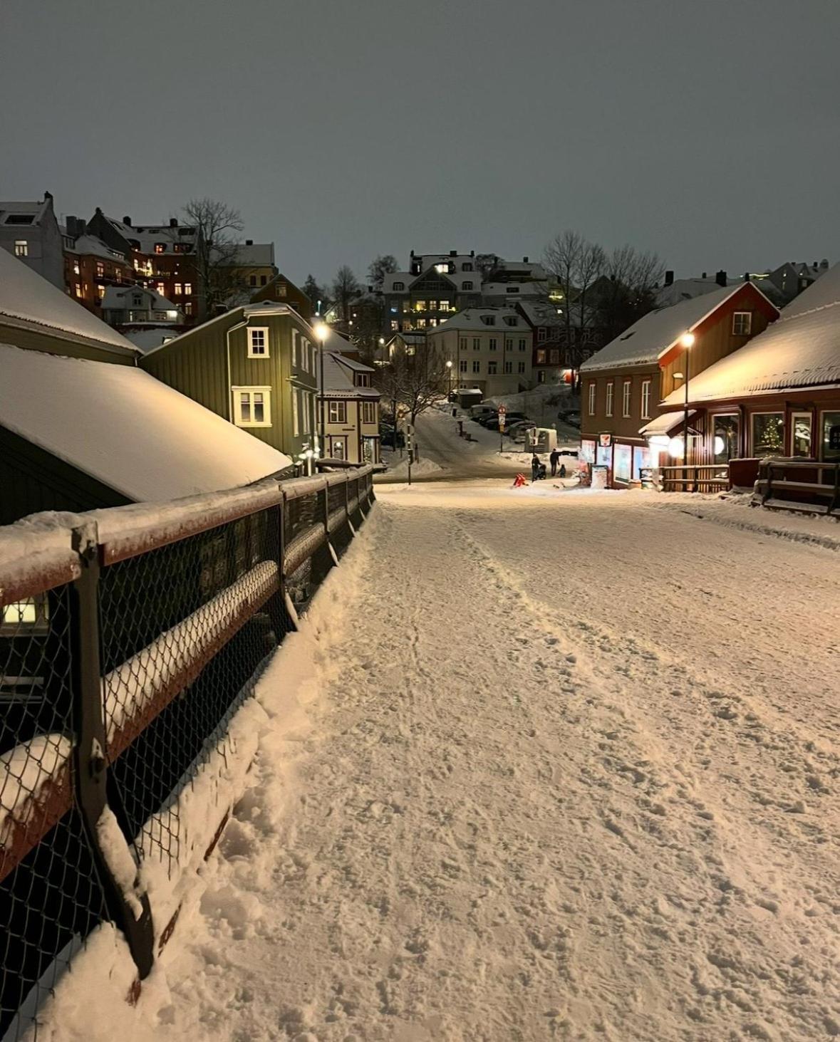 Beautiful House - Walking Distance Of Everything Trondheim Dış mekan fotoğraf